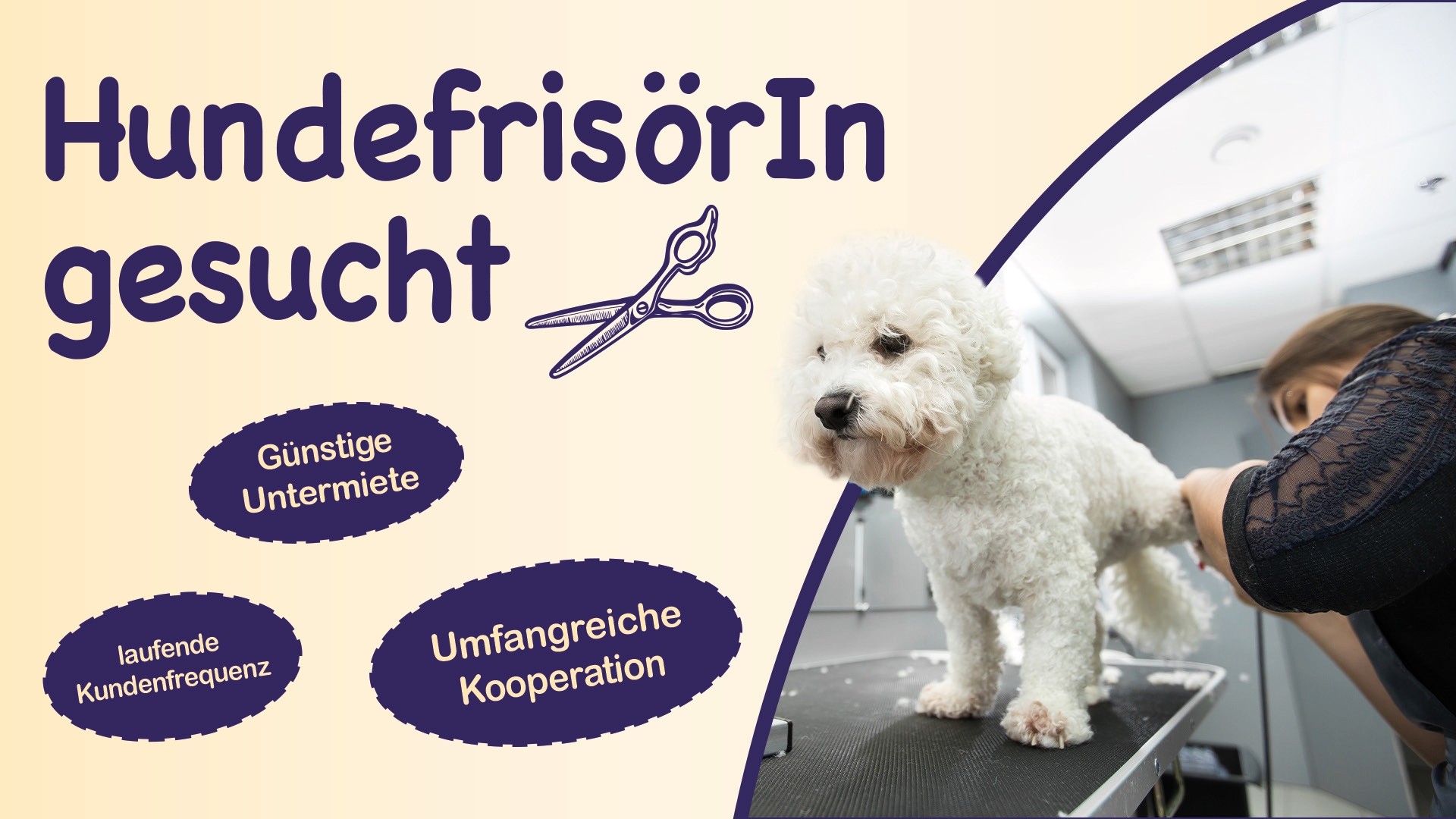 Hundefrisörin gesucht