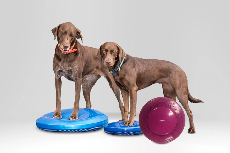 FitPaws Balance Disc